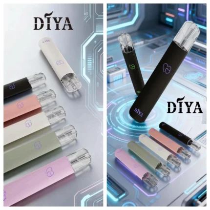 DIYA主機